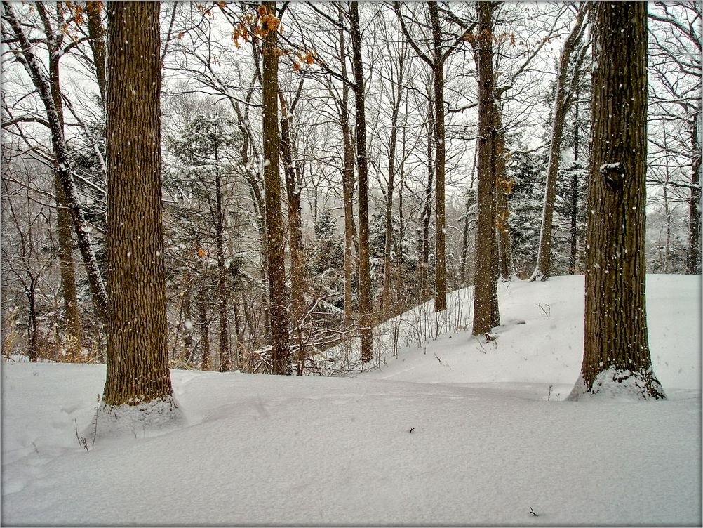und der Schnee fällt ...