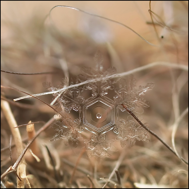 Nicht ein bisschen ...