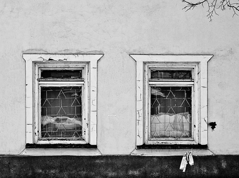 Windows