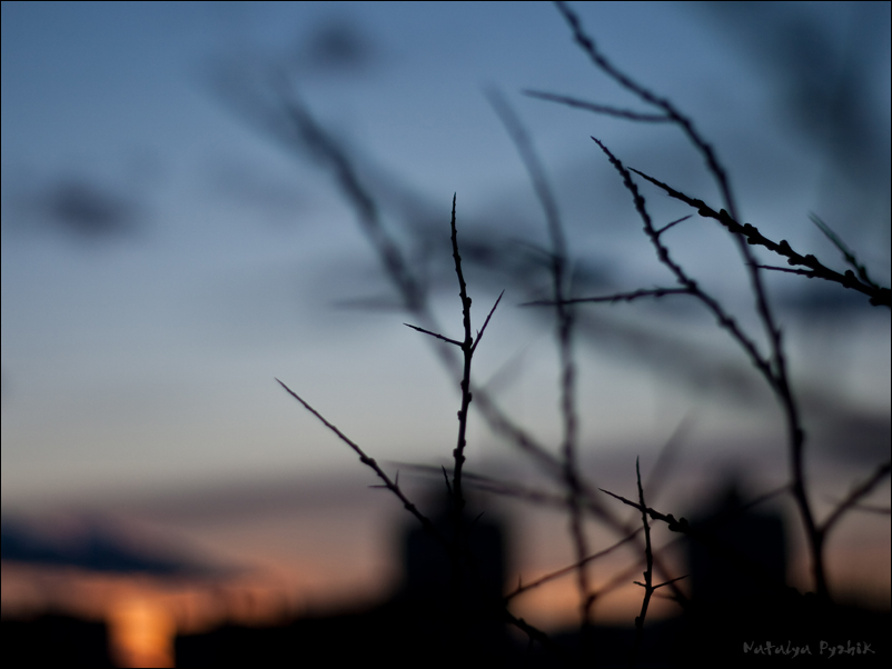 Träume von Freiheit