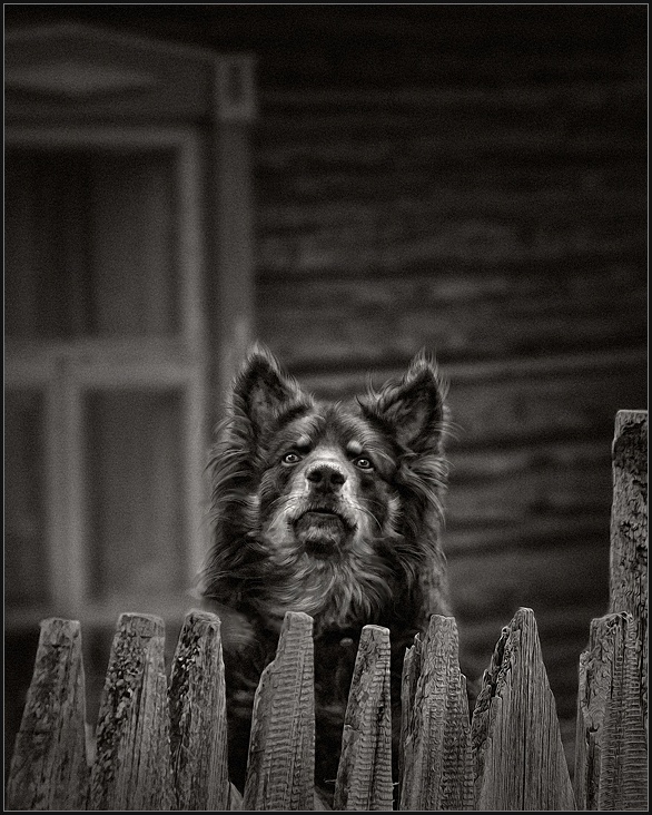 Für die Sicherheit des Eigentums «, antwortete ich ...