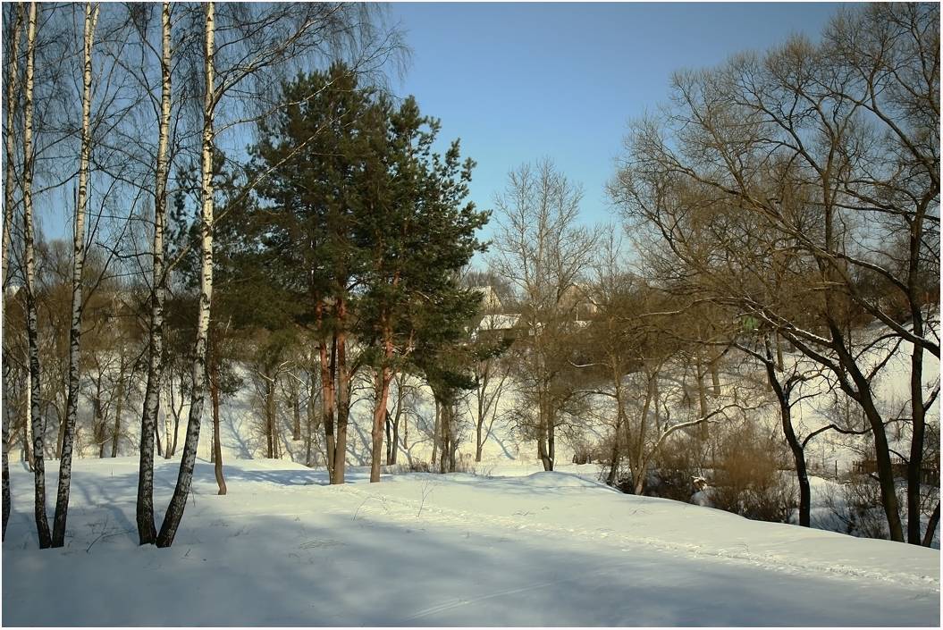 In Erwartung des Frühlings ...