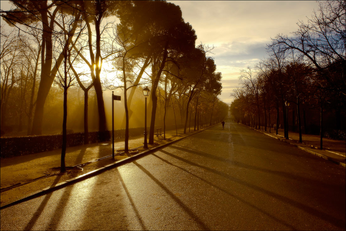 Der Park ........ Sonne aufging ....