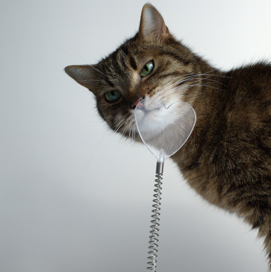 C Happy Valentine\'s!))