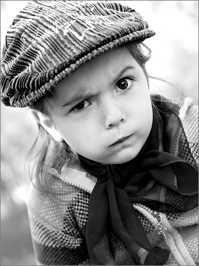 "Kaufen Sie eine Katze ...!!!":) (Hunde und ein Papagei ...)...:))