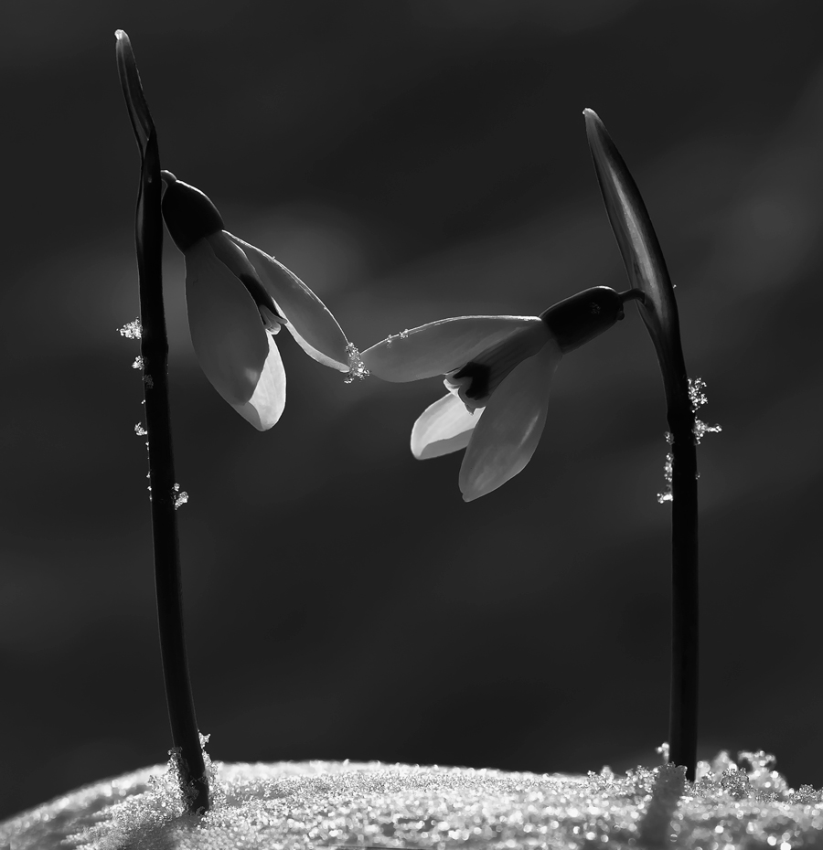 Das Berühren der Seele ...