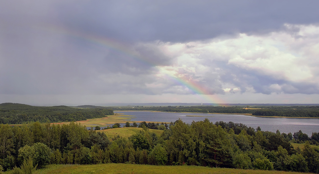 Durch die Linse des nassen