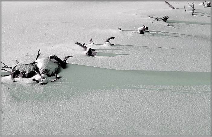 Ring grün Schnee ...