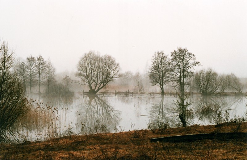 Vyasnovaya tseplynya