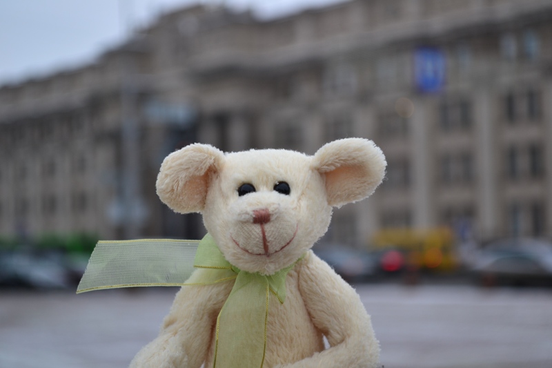 Bären auf der Allee