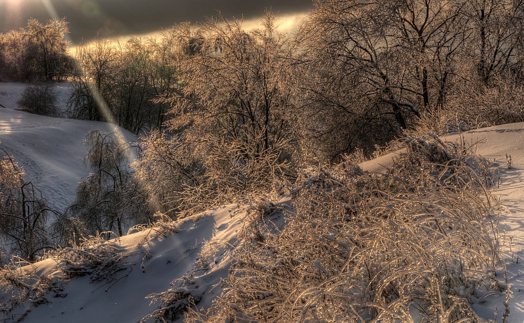 In Fesseln des Eises