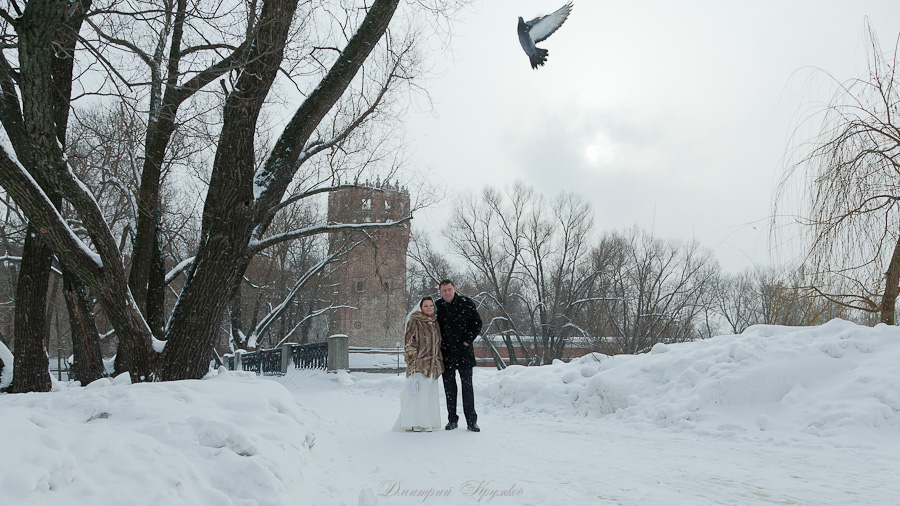 Liebe, Tauben, Winter