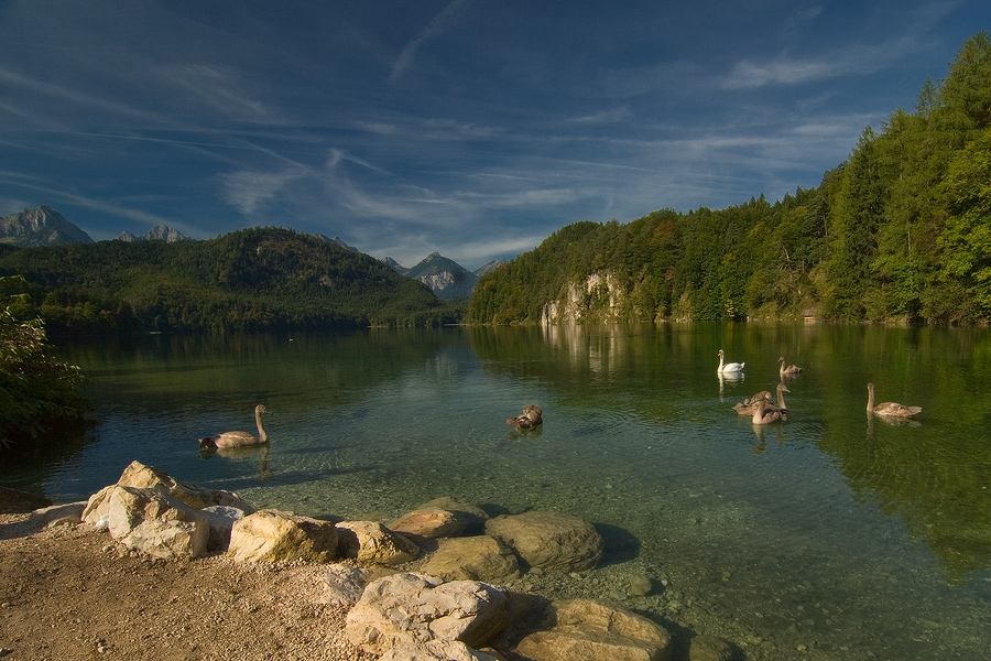 Alpsee