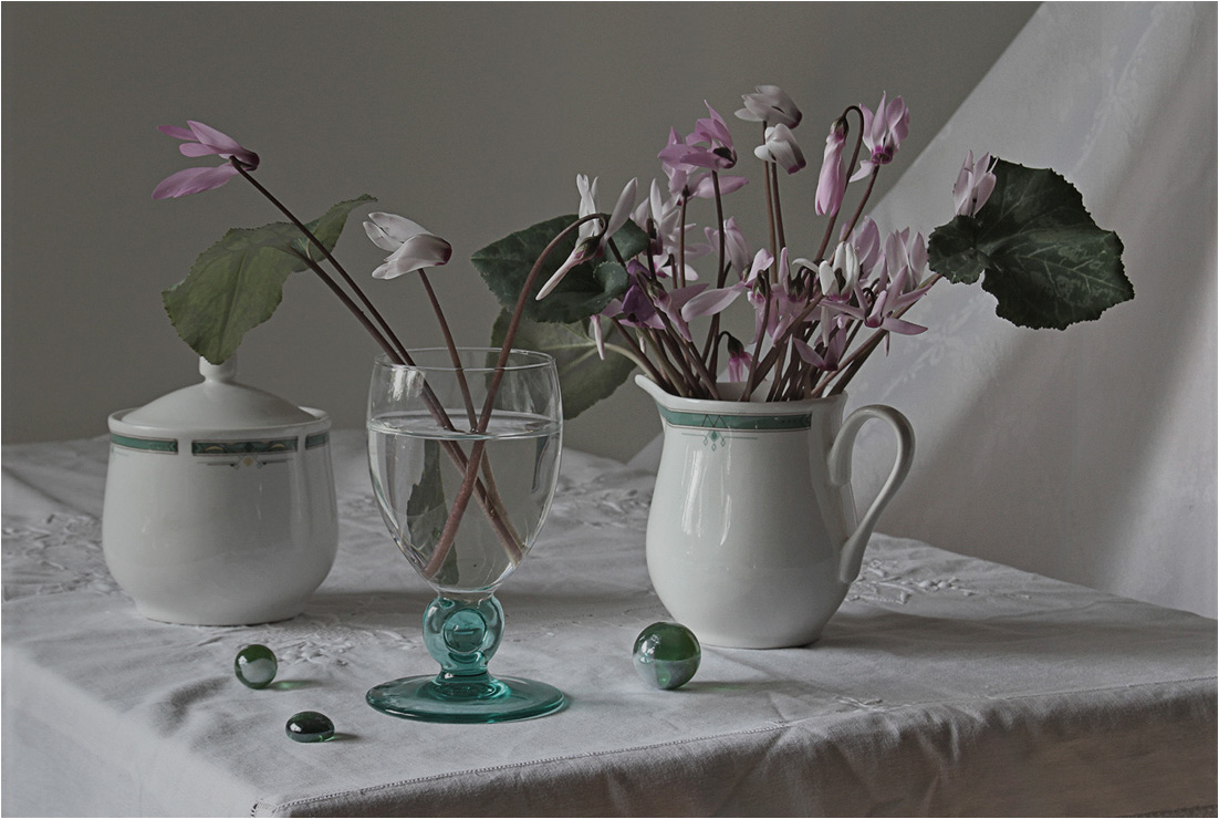 Mit wilden Alpenveilchen ...