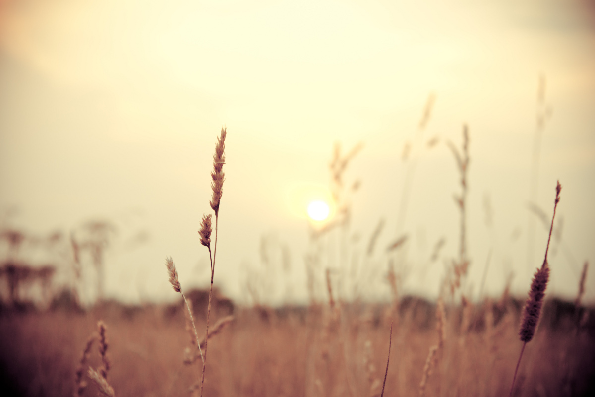 Bald wird die Sonne wieder zu uns zurückkommen