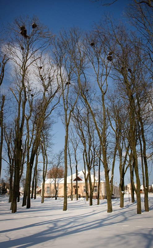 Rooks ist noch nicht da, aber ...