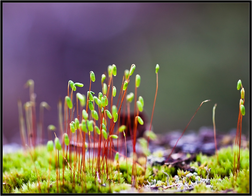 Mädchen stehen in einer Ecke ...