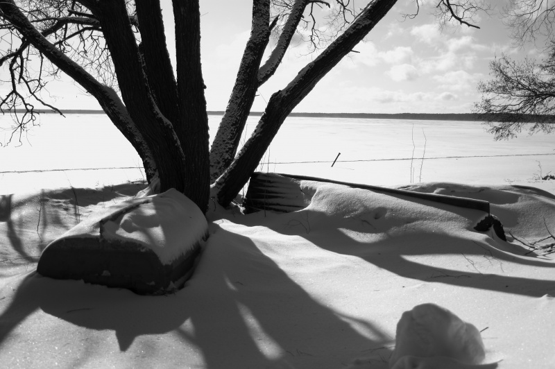 Warten auf den Frühling