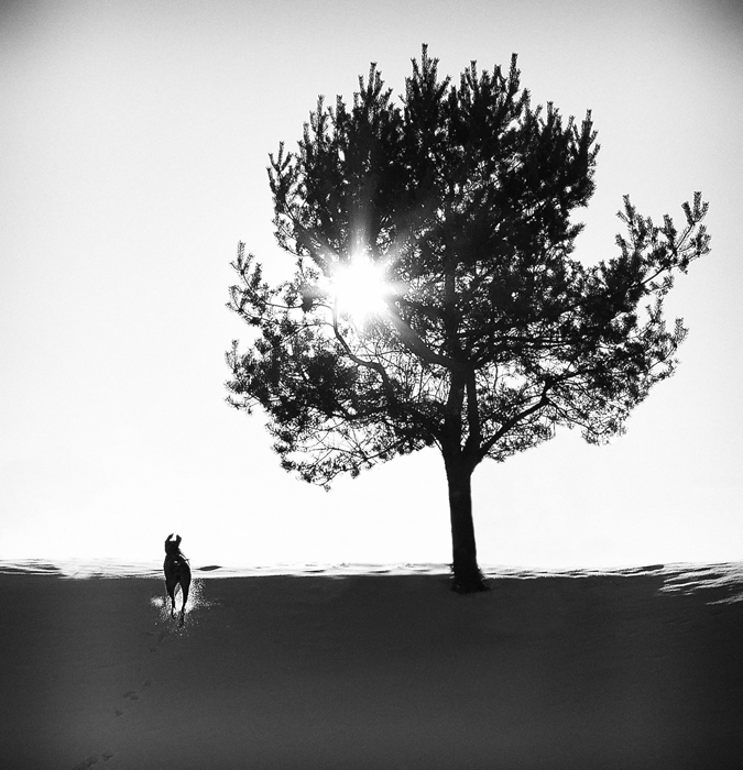 Ort, an dem die Sonne.