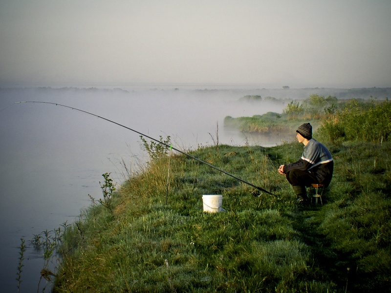 Im Vorgriff beißen ....