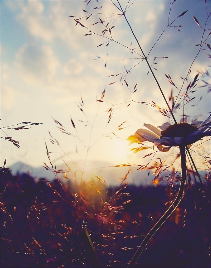 .... In den Solarplexus ... Karpaten