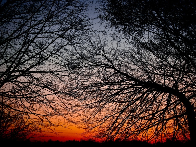 Sunset skvozb Weben ...