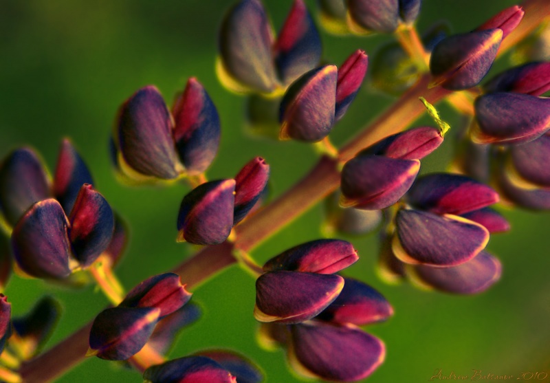 Denken Sie darüber nach Sommer ...