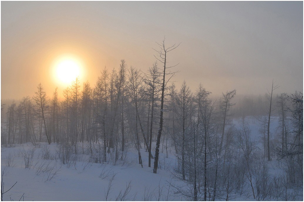 Die Kugel, die von allen benötigt wird!