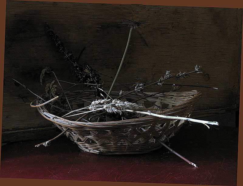 Der letztjährige Gras