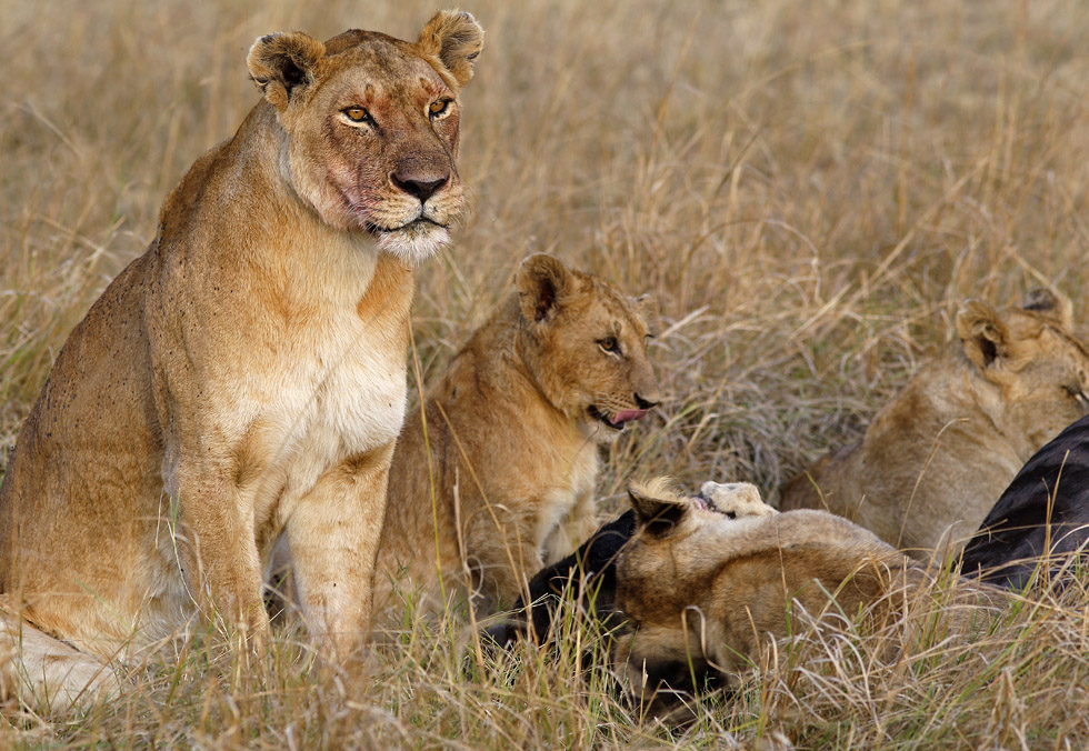 Heute sind alle hungrig!
