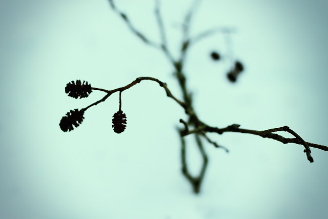 Erhaltung der Natur - deine Mutter!