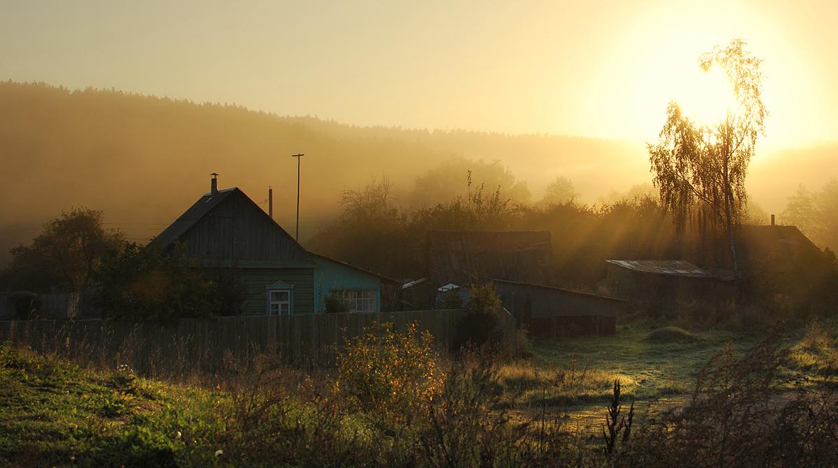 Hahn - einem goldenen Kamm