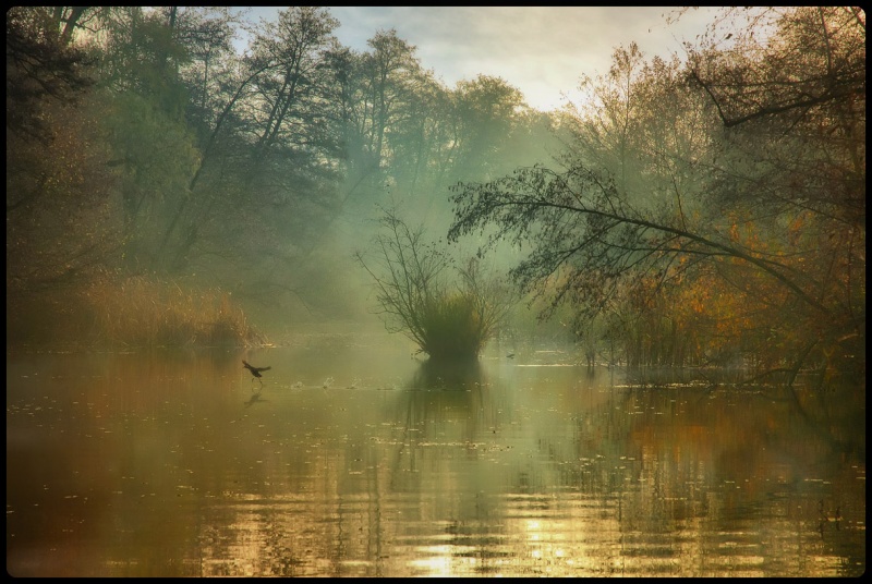 Schleichende durch den Nebel der Ruhe Yerik