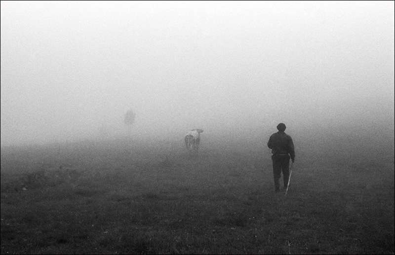 Startseite mit einer Krankenschwester