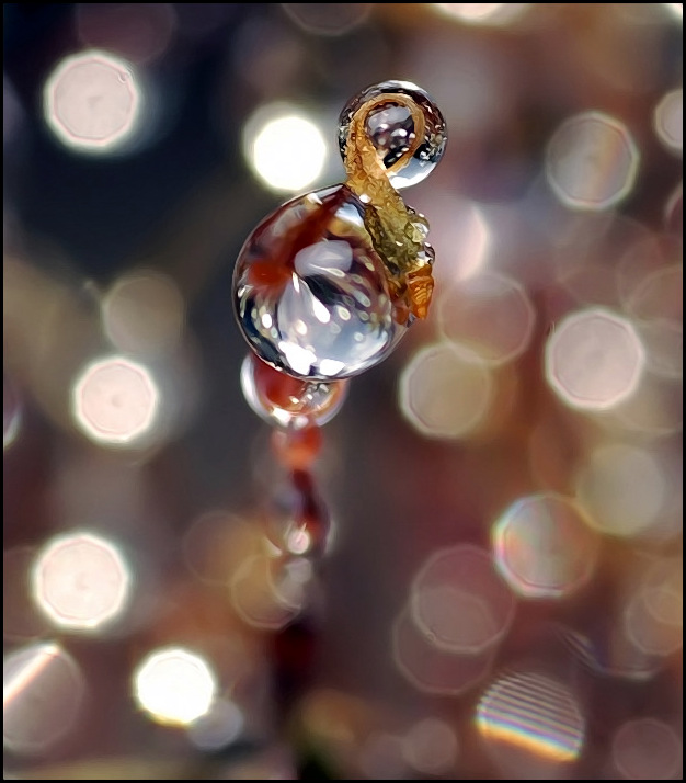 Ich gratuliere Frau am 8. März ...