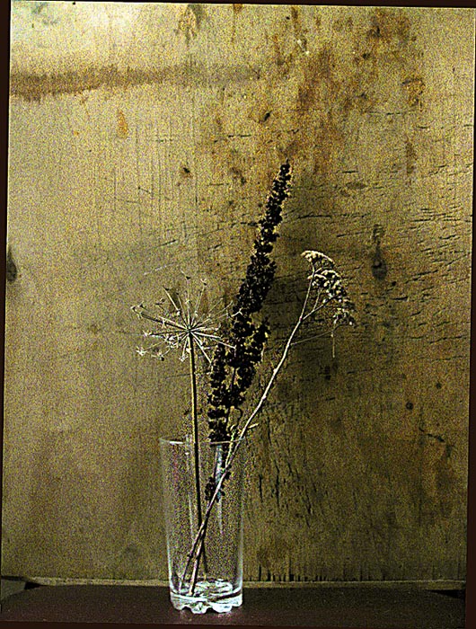 Der letztjährige Gras