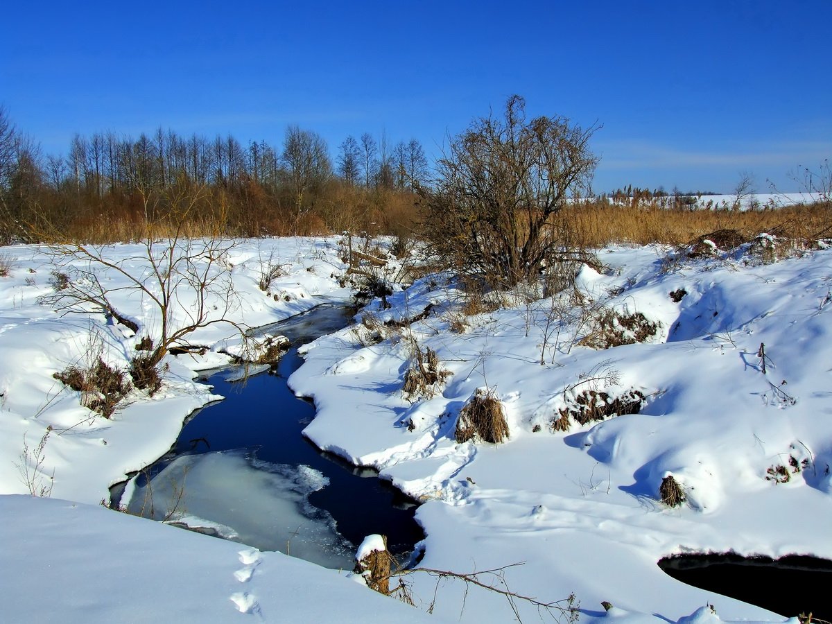 Letzter Tag des Winters