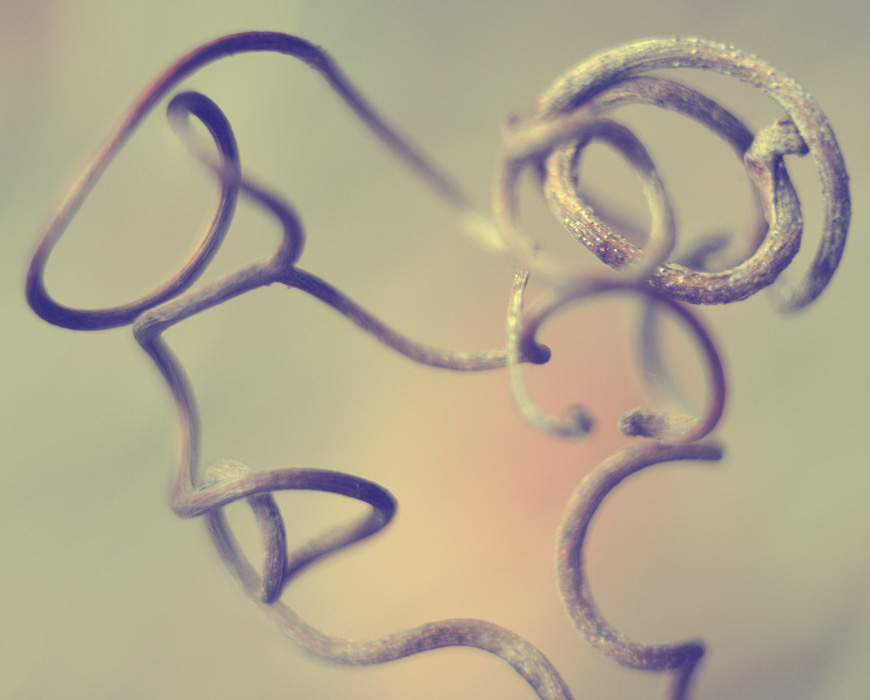 Porträt von Puschkin * * Damen