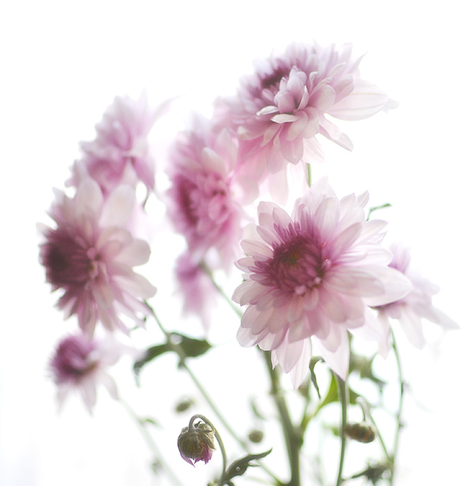 Herzlichen Glückwunsch!