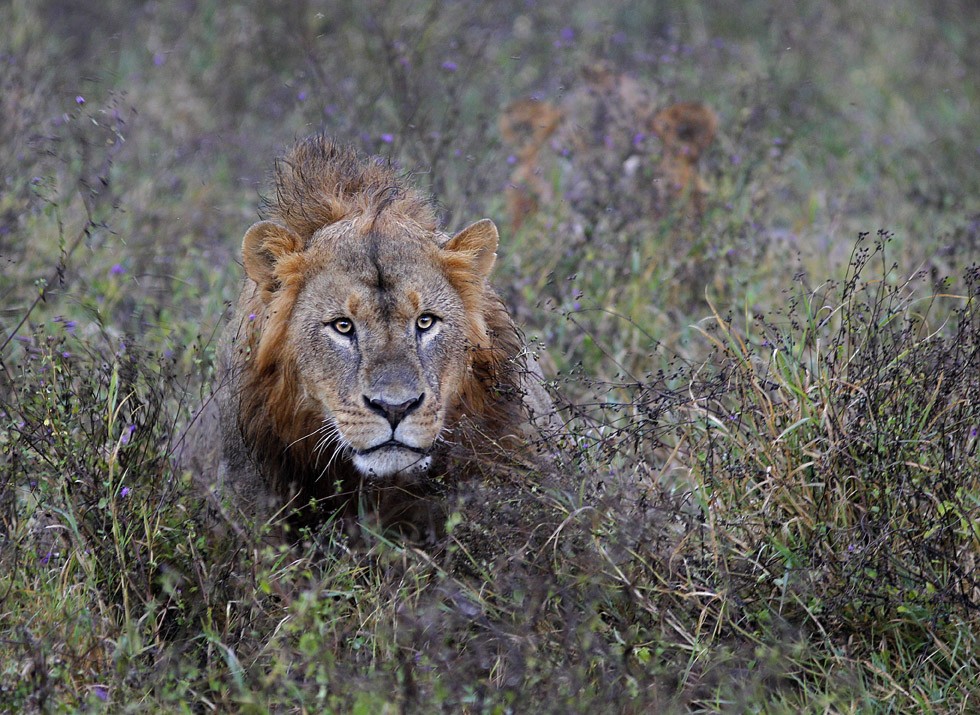 Wir sind nicht immer gut!