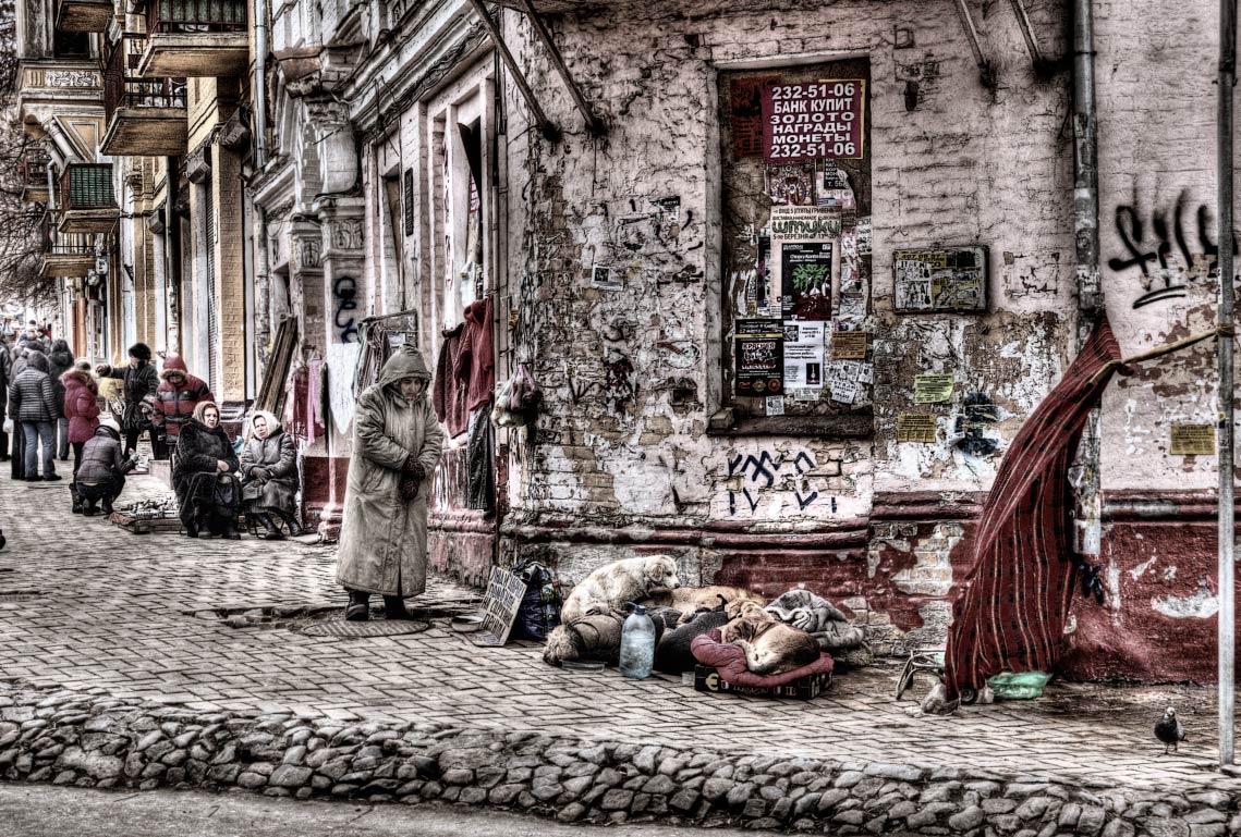 Alle Hunde kommen in den Himmel