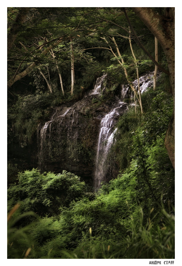 Kalihiwai Falls