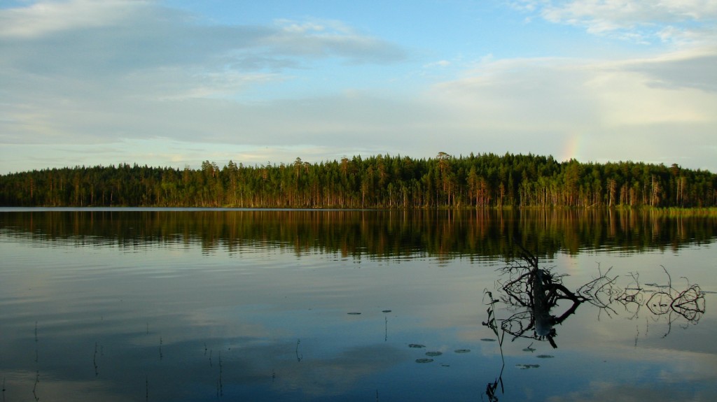... Nach der regen ...