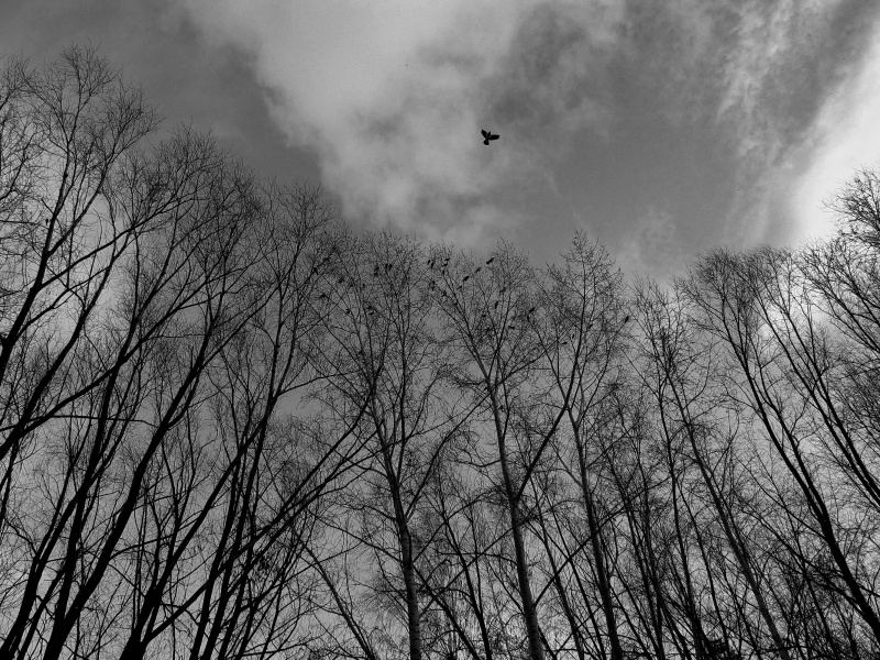 Du schläfst und ich schlafe ..