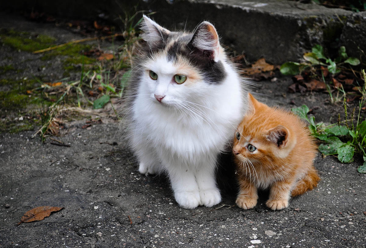 Die erste Ausfahrt im Licht .. furchtbar interessant ..