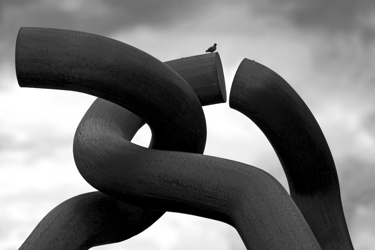 Auf Tauben und ihre Beziehung zur Abstraktion.