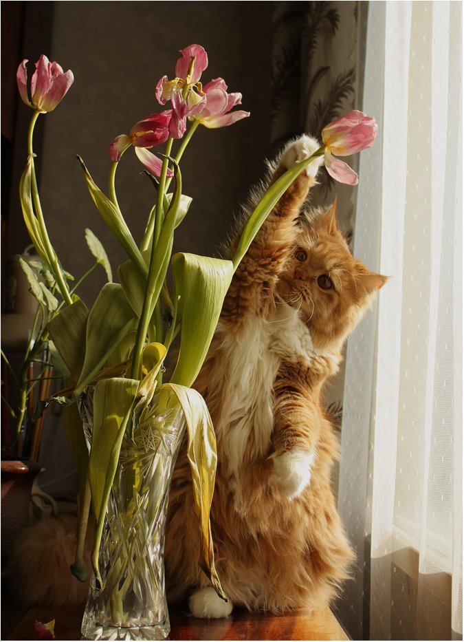 Darling, was Blume, die du am liebsten? ... Dieser?