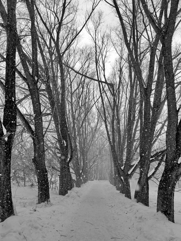 .. Ich einschlafe, werde wir uns wieder treffen!