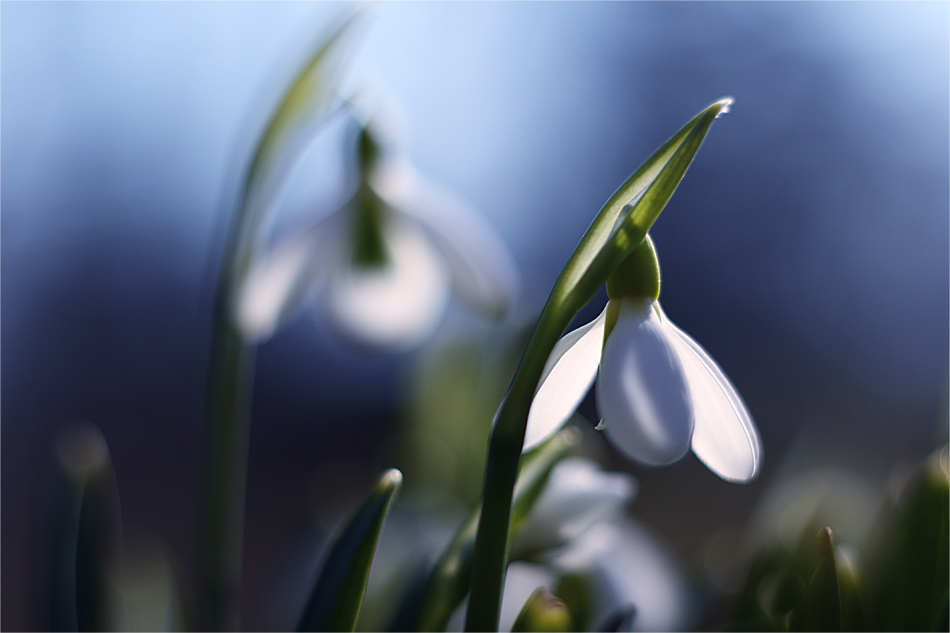 Sie werden als nächstes ...