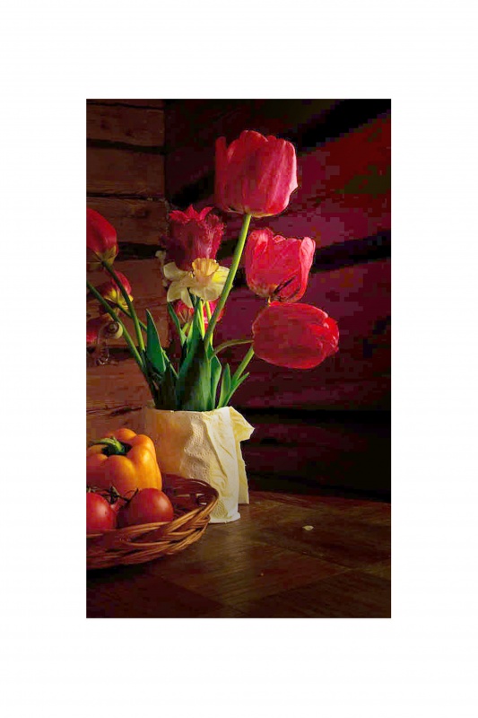 Der Wunsch nach Frühling